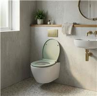 Aqualona Thermoplast D Shape Toilet Seat - Sage Green