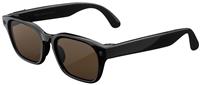Meta Adventurer Large - Classic Black, Brown Lenses