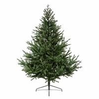Premier Decorations 6ft Artificial Glenshee Spruce Christmas Tree