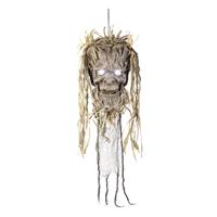 Premier Decorations Prelit Halloween Animated Talking Tree Head Decoration