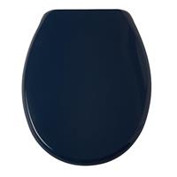 Bemis Buxton Toilet Seat - Blue