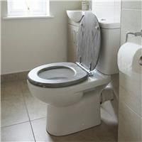 Aqualona Moulded Wood Soft Close Toilet Seat - Grey