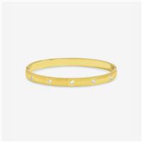 Jon Richard Gold Plated Textured Stainless Steel Crystal Bangle