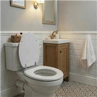 Aqualona Moulded Wood Soft Close Toilet Seat - White and Oak