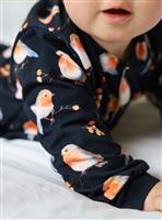 FRED & NOAH Robin Sleepsuit Up To 3 mths