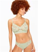 DD+ Khaki Lace Bralette 40F