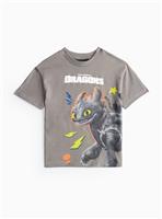How To Train Your Dragon T-Shirt 6 years