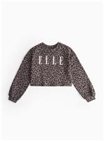ELLE Leopard Printed Boxy Sweatshirt 14 years