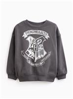 Harry Potter Charcoal Character Print Sweatshirt 10 years