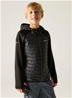 REGATTA Junior Andreson Hybrid Jacket 11-12 years