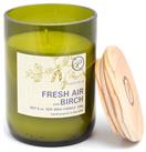 Paddywax Medium Jar Eco Candle - Fresh Air & Birch