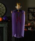 Disney Halloween Medium Villains Evil Queen Decoration