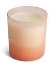 Habitat Scented Boxed Candle - Peony & White Lily