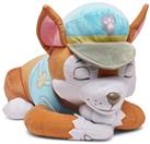 PAW Patrol Chase 48cm Weighted Plush