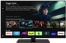 Bush 43 Inch Smart Full HD HDR10 LED TiVo Freeview TV