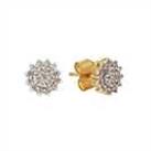 Revere 9ct Yellow Gold 0.25ct Diamond Cluster Stud Earrings