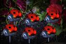 Garden by Sainsbury's Solar 6 Piece Ladybird Stake Lights