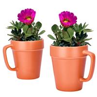 Regal Trunk & Co. Plant Pots Set of - Versatile 2 19.8 x 9.9 cm, Red