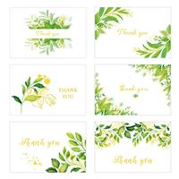Masper Thank You Cards, Designs Foil Thank You 12/36 6 Gold Greenery