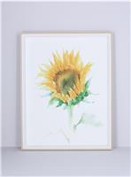 Gisela Graham 4 x Sunflower Nat. Framed Print, Large