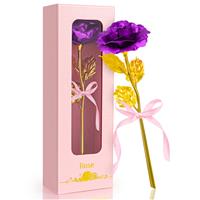 Rose Gifts for Women Birthday Gifts for Mother Her 24K Golden Galaxy