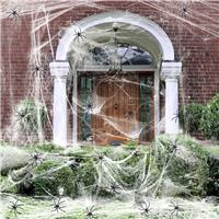 PlusFive Halloween Spider Web Spider Webs with Decoration,200gXL 60