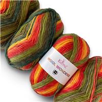 Wool Wonders Heavy Worsted/Aran Medium #4 30% 70% 4 400g/584m (Blue