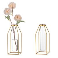 Sziqiqi Frame Flower Vase - Metal Wire Vase Set of Test Gold Glass 2