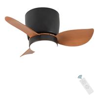 CANEOE Smart Ceiling Fans with Lights, Quiet DC Motor 55cm 6 (Black)