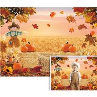 Autumn Photography Background Fall Harvest Barn Party Backdrop (8x6ft)