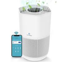 DH Lifelabs Air Purifiers for Home, HEPA Filter Air H13 White)