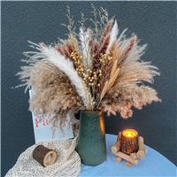 Pampas Grass, Fluffy Pampas Grass Decor, Natural Dried CIXICM 65Pcs