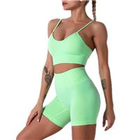 Gym Sets for Women Piece Workout Outfits 2 Seamless Exercise Small