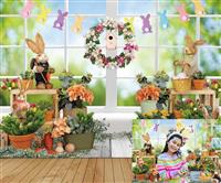 Easter Window Backdrop Spring Window Grassland Rabbits XCKALI 8x6FT