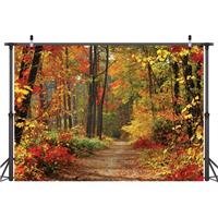 LYWYGG Autumn Backgroud Mountain Path Fallen 8x6FT Yellow CP-67-0806