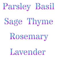 Herb Stencil - (S) - Reusable Words Labels Farmhouse 11.5 x 11.5cm