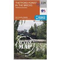 Explorer Active 229 Thetford Forest in the Brecks Map With Digital Version, Orange