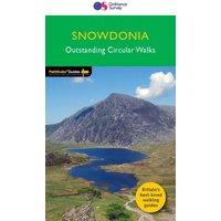 Pathfinder 10 - Snowdonia, Green