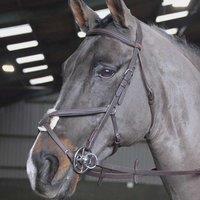 Ready-To-Ride Mexican Bridle, Black