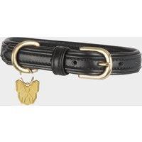 Padded Leather Dog Collar, Black