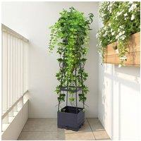https://www.burton.co.uk/product/living-and-home-raised-garden-bed-for-climbing-vine-vegetables-flowers-plants-tomato-planter-boxes-with-trellis-58-3-self-watering-for-outdoor-patio-greenhouse_p-32009106-438c-4420-96df-5c136bb1c659?colour=B...