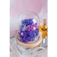 https://www.burton.co.uk/product/living-and-home-12cm-w-x-20cm-h-u-shaped-glass-cover_p-ee3da7f7-3db3-4dc7-ae56-6fa6222c1f1f?colour=Clear&size=One%20Size