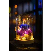 https://www.burton.co.uk/product/living-and-home-12cm-w-x-20cm-h-u-shaped-glass-cover-with-warm-light_p-1838422d-51b3-4d99-a97a-c46e25b9ead2?colour=Clear&size=One%20Size