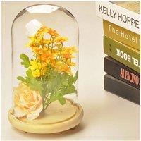 https://www.burton.co.uk/product/living-and-home-9cm-w-x-25cm-h-u-shaped-glass-cover_p-4cc350f2-4a9d-427e-8e45-139d7978b1f5?colour=Clear&size=One%20Size