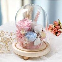 https://www.burton.co.uk/product/living-and-home-11cm-w-x-20cm-h-u-shaped-glass-cover_p-c4f491b7-cd13-4d36-8568-feefa85b5bec?colour=Clear&size=One%20Size