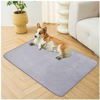 https://www.burton.co.uk/product/living-and-home-150cm-x-127cm-grey-premium-waterproof-pets-blanket-for-bed-sofa_p-6b76697d-9027-4e5a-b332-4dbf8e809da1?colour=Grey&size=One%20Size