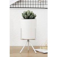 https://www.burton.co.uk/product/living-and-home-1pcs-succulent-planter-ceramic-pots-with-metal-stand_p-a4d3dee2-c395-4656-aed2-9fc15806b0ec?colour=White&size=One%20Size