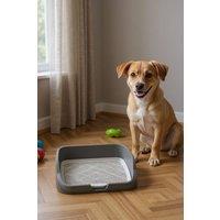 Living and Home Extra Large Dog Potty Tray with Removable Post in Grey