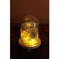 https://www.burton.co.uk/product/living-and-home-9cm-w-x-15cm-h-u-shaped-glass-cover_p-031174b0-7e02-49ff-8d16-fb1a83a887d9?colour=Clear&size=One%20Size