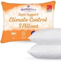 https://www.burton.co.uk/product/slumberdown-2-pack-climate-control-super-support-side-sleeper-firm-pillows_p-a504d156-582d-4641-a004-b1496a51be6d?colour=White&size=One%20Size